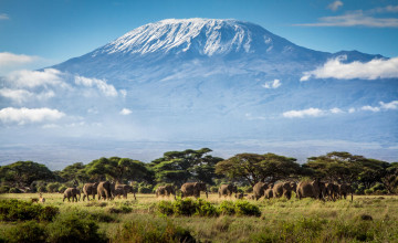 Kilimanjaro Wallpapers