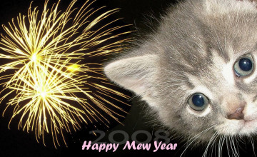 Kitten New Year