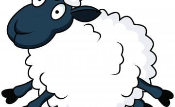 Lamb