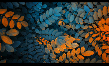 Leaves Aesthetic Wallpapers