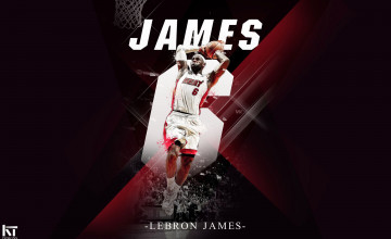 LeBron James Heat Dunking