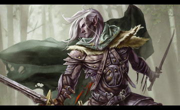 Legend of Drizzt Wallpapers