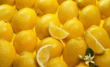 Lemon Wallpapers