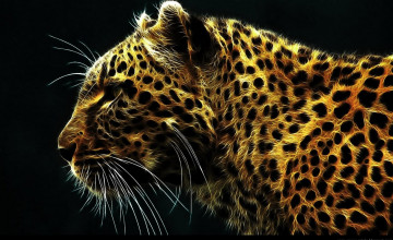 Leopard Wallpapers for Desktop