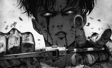 Levi Black And White Wallpapers