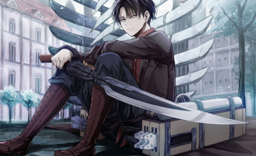 Levi Wallpapers