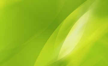 Lime Green Wallpapers