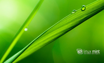 Linux Mint Wallpapers Location