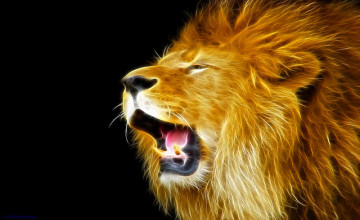 Lion Desktop Wallpapers