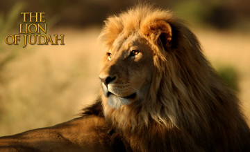 Lion Of Judah Wallpapers