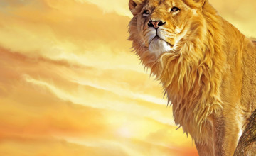 Lion Wallpapers Downloads