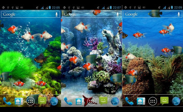 Live Aquarium Wallpapers Free Download