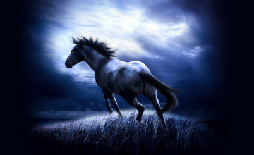 Live Horse Wallpapers