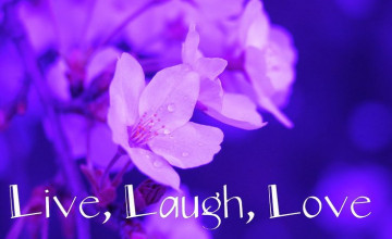 Live Laugh Love Wallpapers