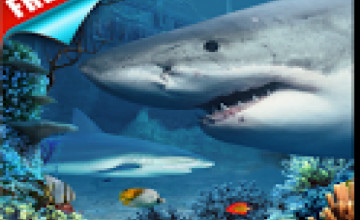 Live Shark Wallpaper Free