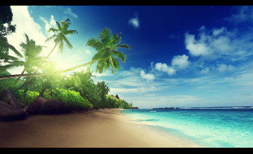 Live Wallpapers Beach