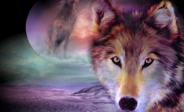 Live Wolf Wallpapers Free Download for PC