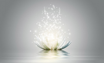 Lotus Flower Backgrounds