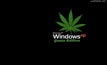 Marijuana for Windows 8