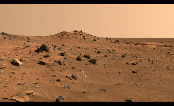 Mars Surface Wallpaper
