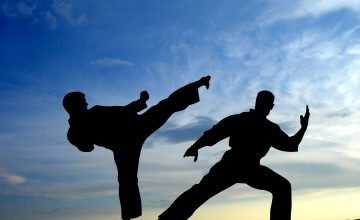 Martial Art Wallpapers