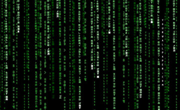 Matrix Movie Wallpaper