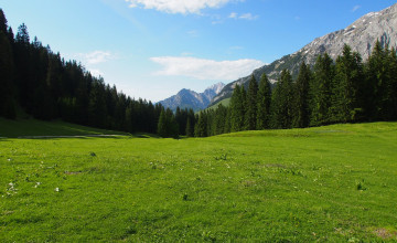 Meadows Backgrounds