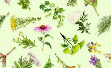 Medicinal Plants Wallpapers
