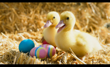 Microsoft Easter Wallpapers
