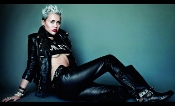 Miley Cyrus Wrecking Ball Wallpapers