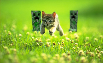 Minecraft Cats Wallpapers