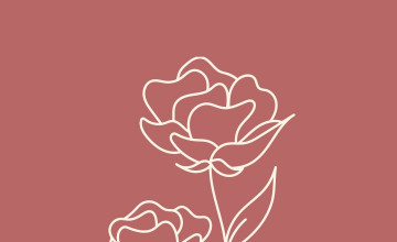 Minimal Rose Wallpapers