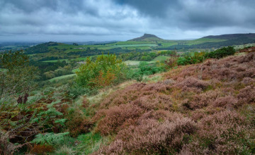 Moors Wallpapers