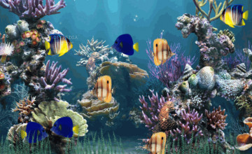 Moving Fish Aquarium Wallpaper