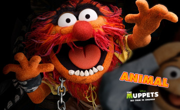 Muppets Animal Wallpapers