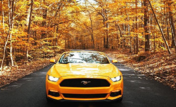 Mustang Yellow Wallpapers