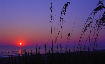 Myrtle Beach Screensavers and