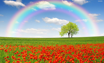 Natural Rainbow HD Wallpapers