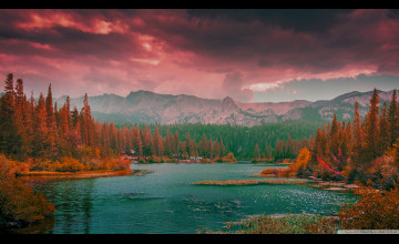Nature Aesthetic Wallpapers