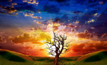 Nature Animated Wallpaper Free Download