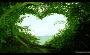 Nature Love Wallpapers