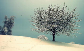 Nature Vintage Winter Wallpapers