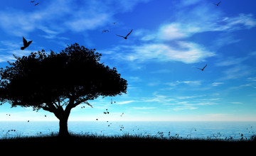 Nature Wallpaper In Hd