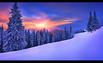 Nature Winter Desktop