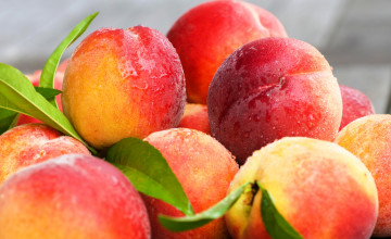 Nectarines Wallpapers