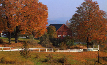 New England Fall Foliage Wallpaper