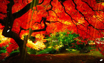 Newwallpapers2015