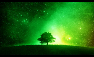 Night Green Forest Wallpapers