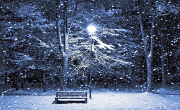 Night Snow Wallpapers Backgrounds