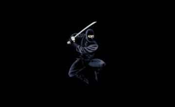 Ninja Desktop Wallpapers